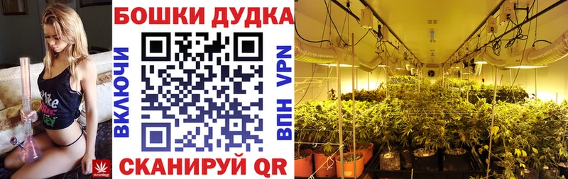 Бошки марихуана гибрид  Бодайбо 